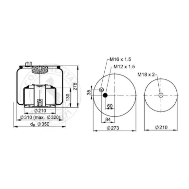 81.43600.6042 1 ilmapalje t teli man tga taydellinen contitech 4916 N1 P07 mittakuva kuva