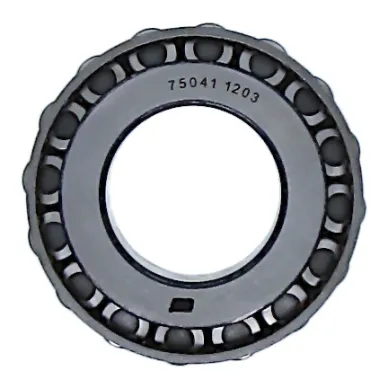 21019-1 kuva